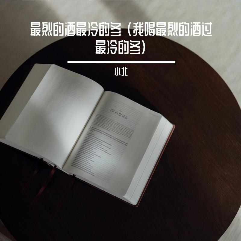 最烈的酒最冷的冬 (我喝最烈的酒过最冷的冬)封面
