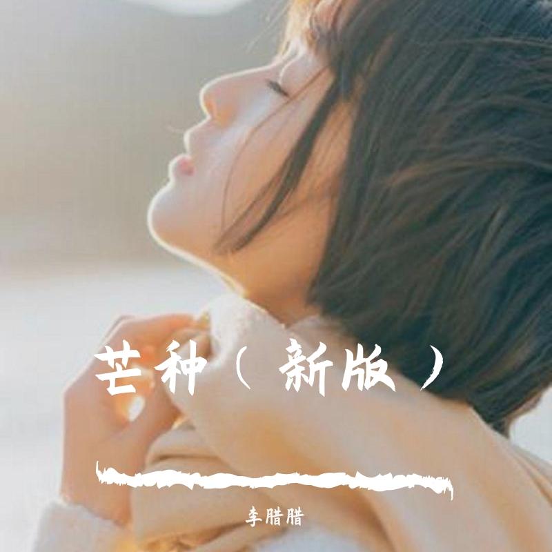 起风了封面