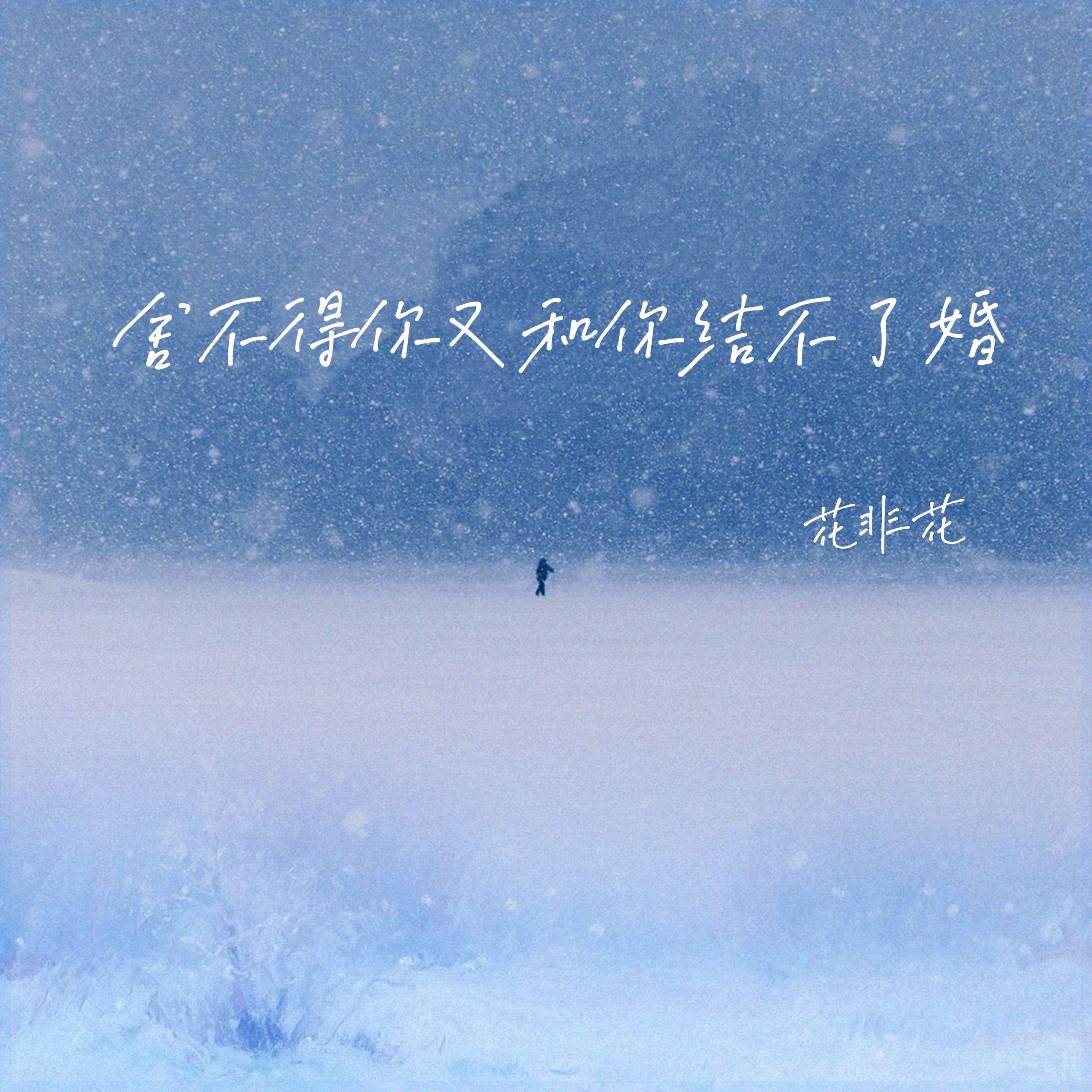 舍不得你又和你结不了婚封面