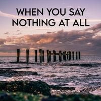 When You Say Nothing at All