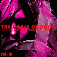 The House Choons!, Vol. 10