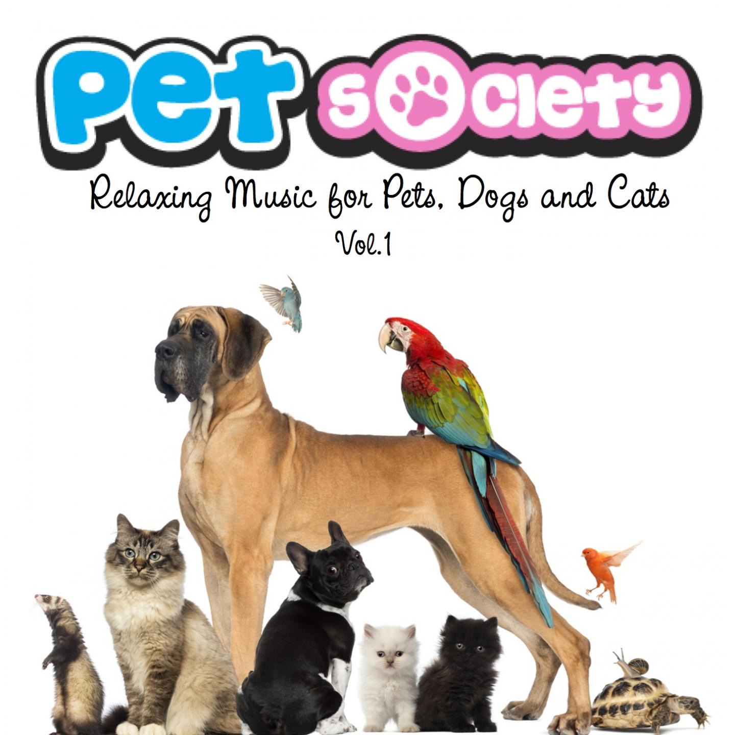  Discover the Best Pet Store in Bonita Springs: Your One-Stop Shop for Happy Pets**