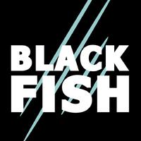 Black Fish资料,Black Fish最新歌曲,Black FishMV视频,Black Fish音乐专辑,Black Fish好听的歌