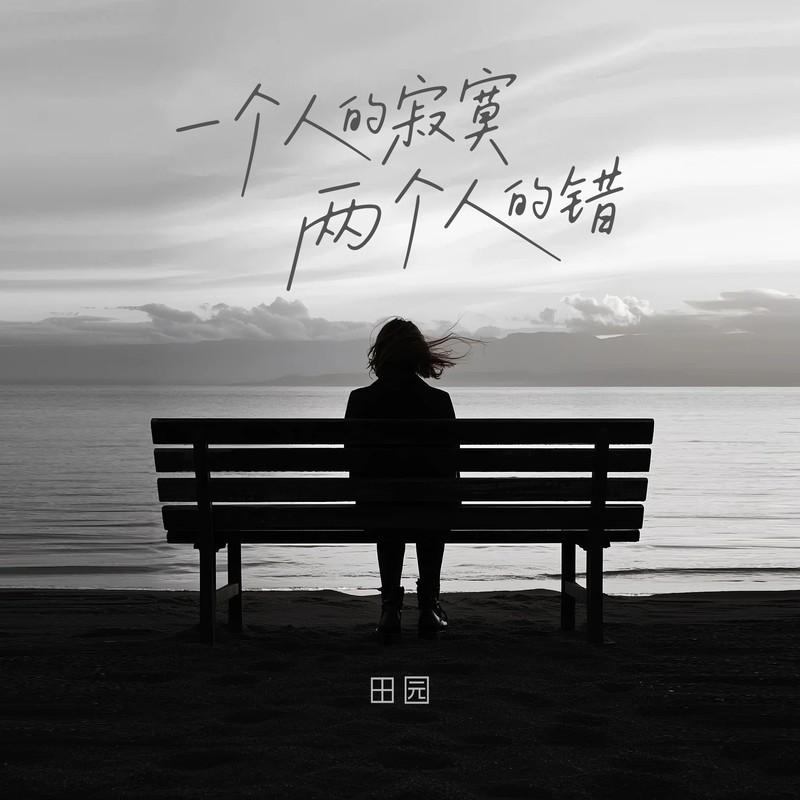 一个人的寂寞两个人的错 (DJ-lucky小阳版)封面