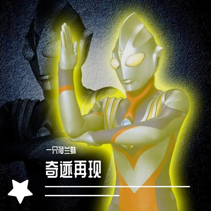 奇迹再现封面