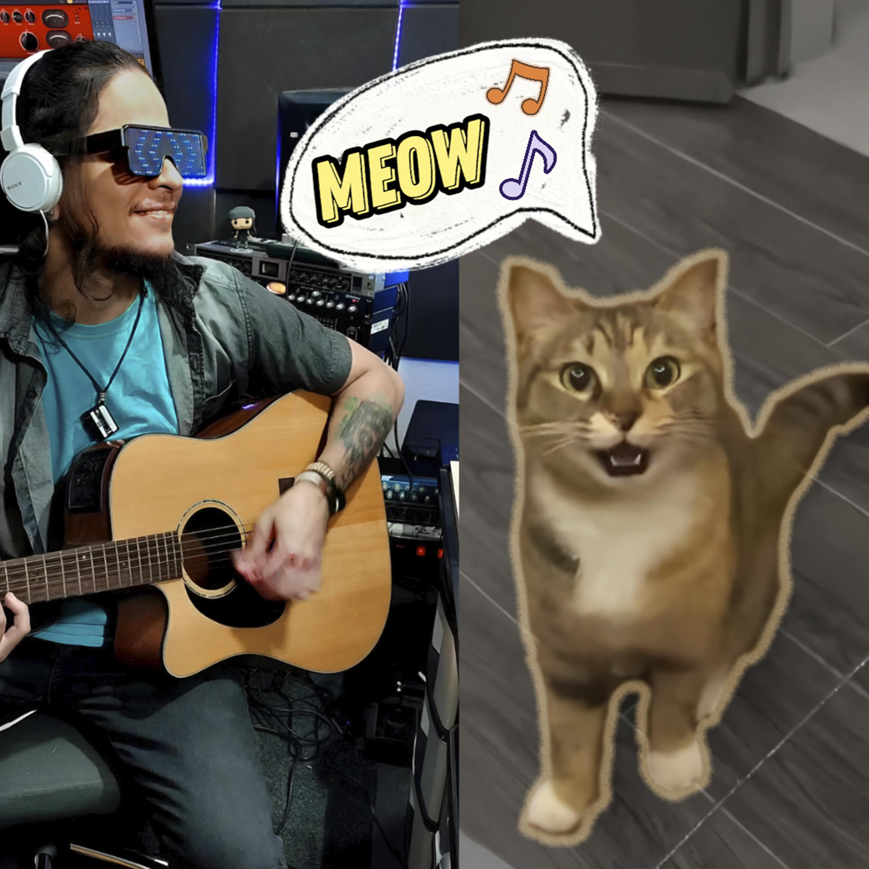 The Morning Song (Meow Number 1)