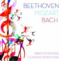 Beethoven, Mozart, Bach: A Back To School Classical Study Guide