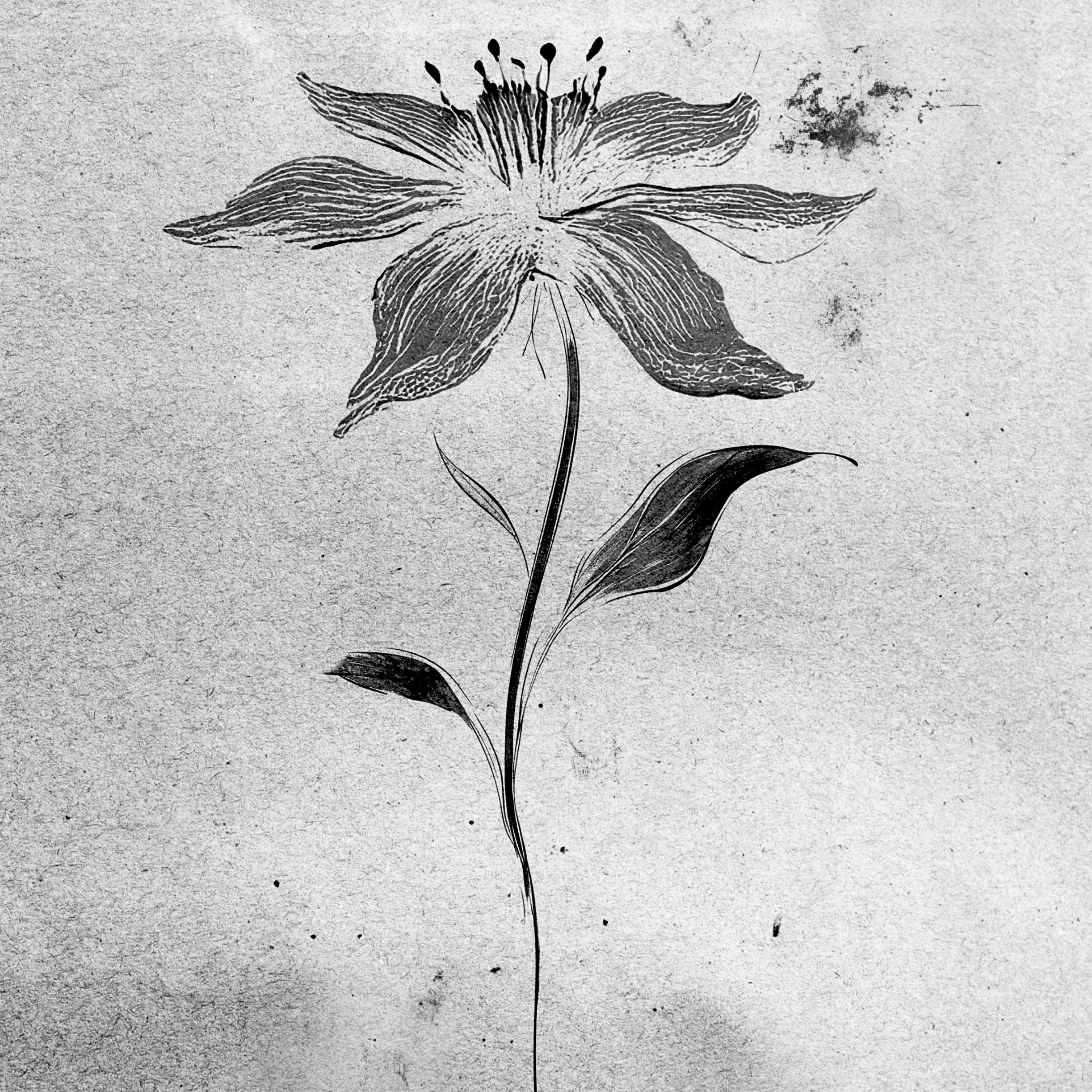 Smaragdus somnium (Acoustic Sessions)