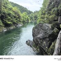 陈阳