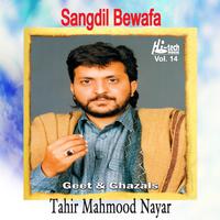 Sangdil Bewafa Vol. 14 (Geet & Ghazals)