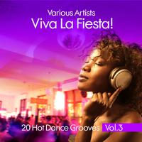 Viva La Fiesta! (20 Hot Dance Grooves), Vol. 3