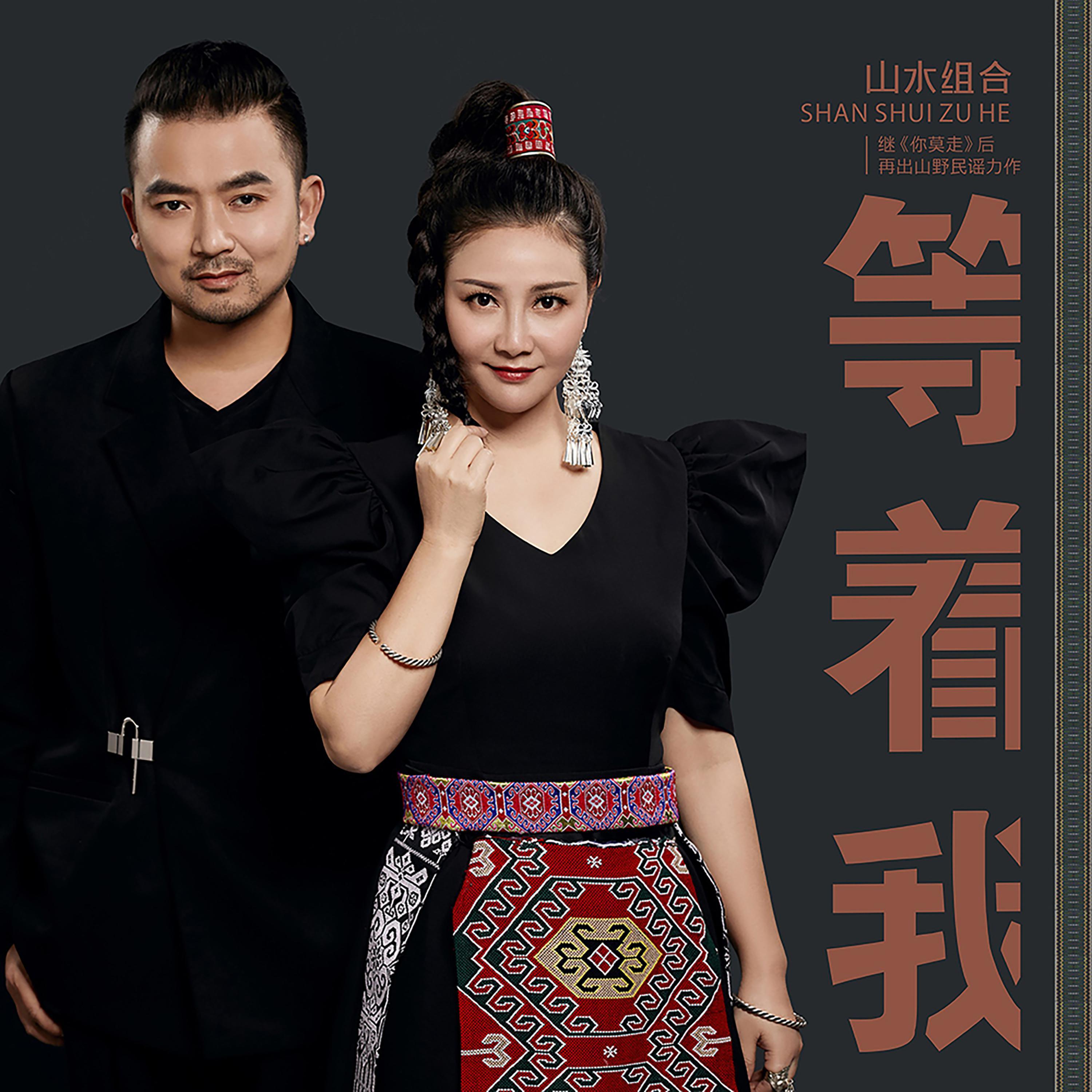 等着我 (DJ版)封面
