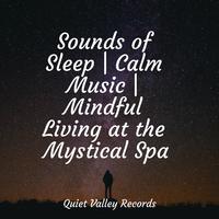 Sounds of Sleep | Calm Music | Mindful Living at the Mystical Spa