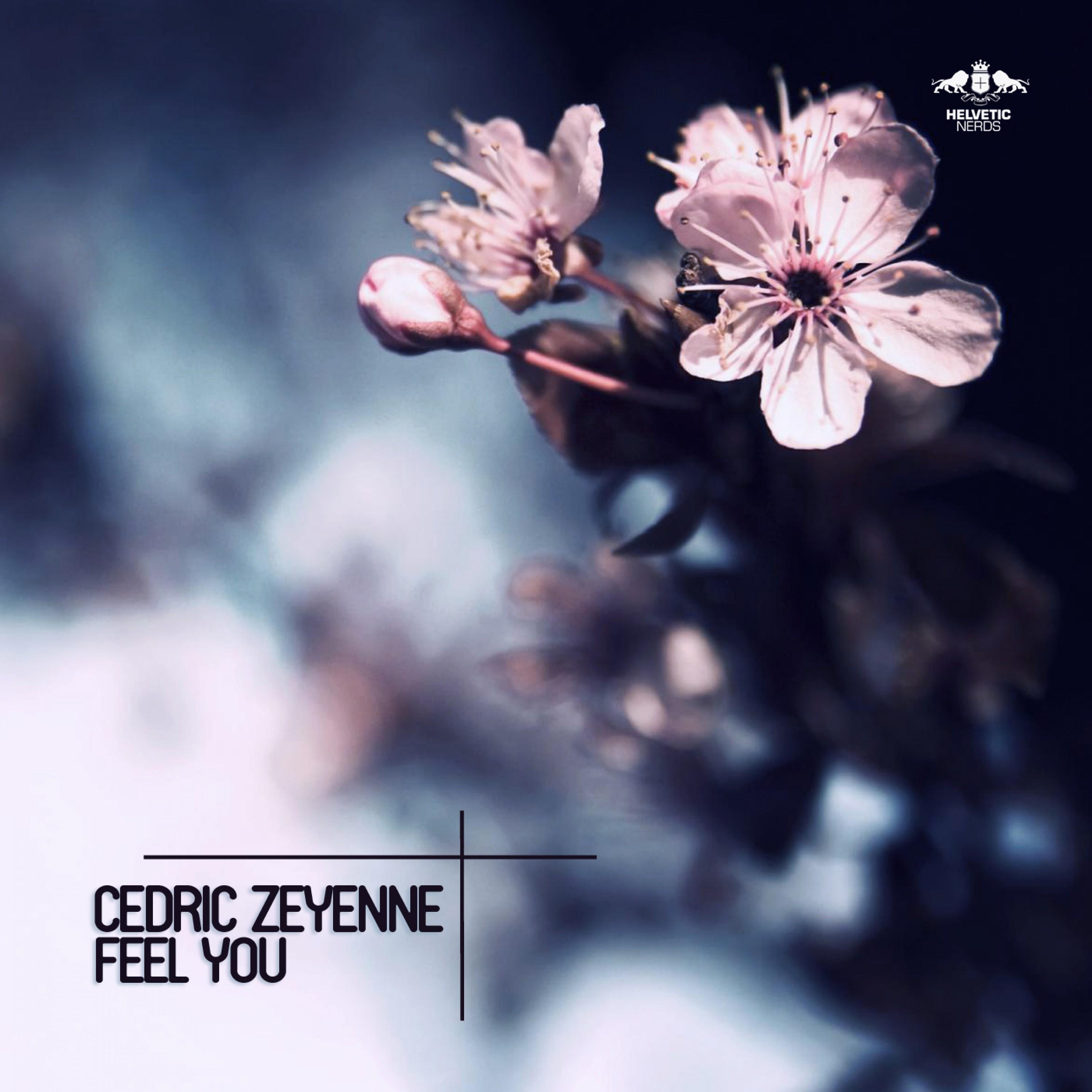 Feel You (Original Mix)