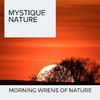 Divine Stream Nature Music - Progressive Fire Sound