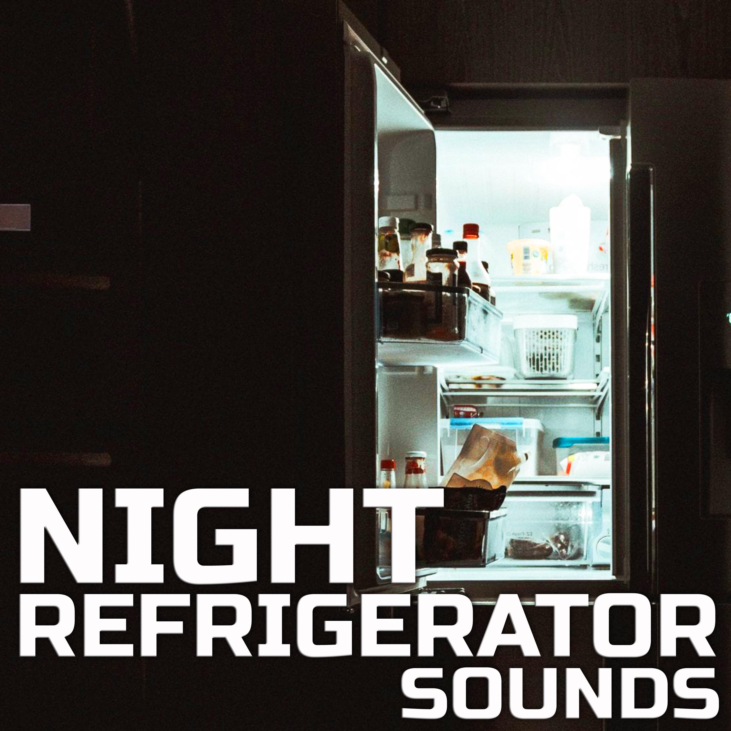 Night Fridge Sounds