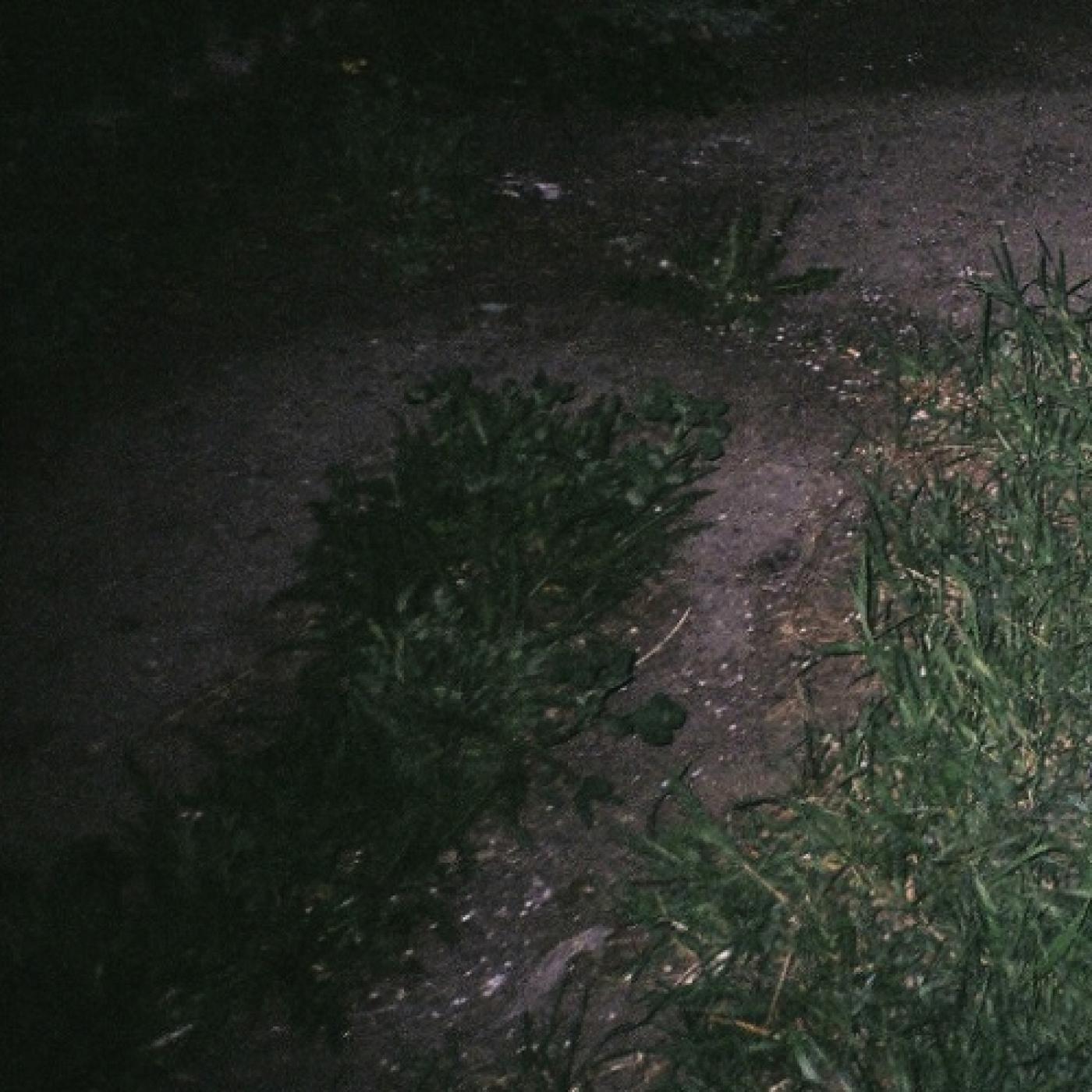 TheOceanHasNeverBeenSoCold