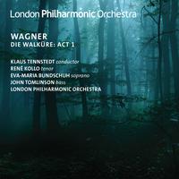 Wagner: Die Walkure, Act 1