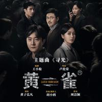 寻光