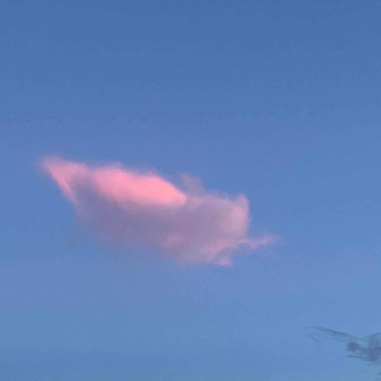 76009c7b6683294648c1e0ac9b2da19b