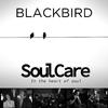 SOULCARE - Blackbird