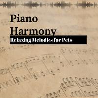 Piano Harmony: Relaxing Melodies for Pets