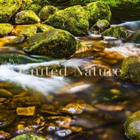 Peaceful Brook