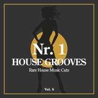 Nr. 1 House Grooves, Vol. 6 (Rare House Music Cuts)