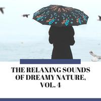 The Relaxing Sounds of Dreamy Nature, Vol. 4