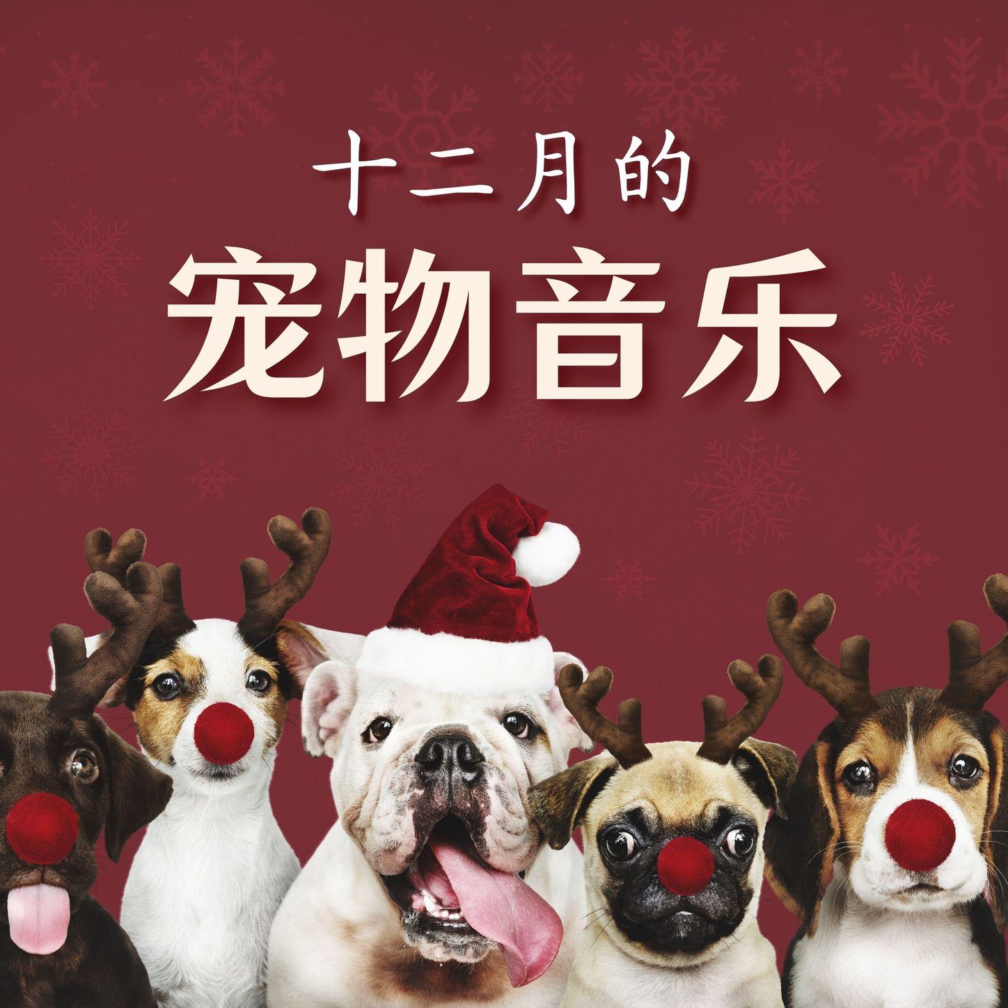 安抚音乐封面