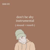 don't be shy instrumental (slowed + reverb)