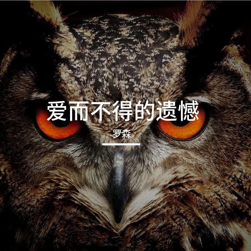 爱而不得的遗憾封面