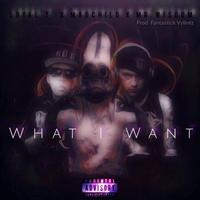 What I Want (feat. Madchild & Loyal.)