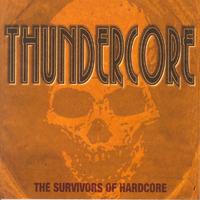 Thundercore (The Survivors of Hardcore)