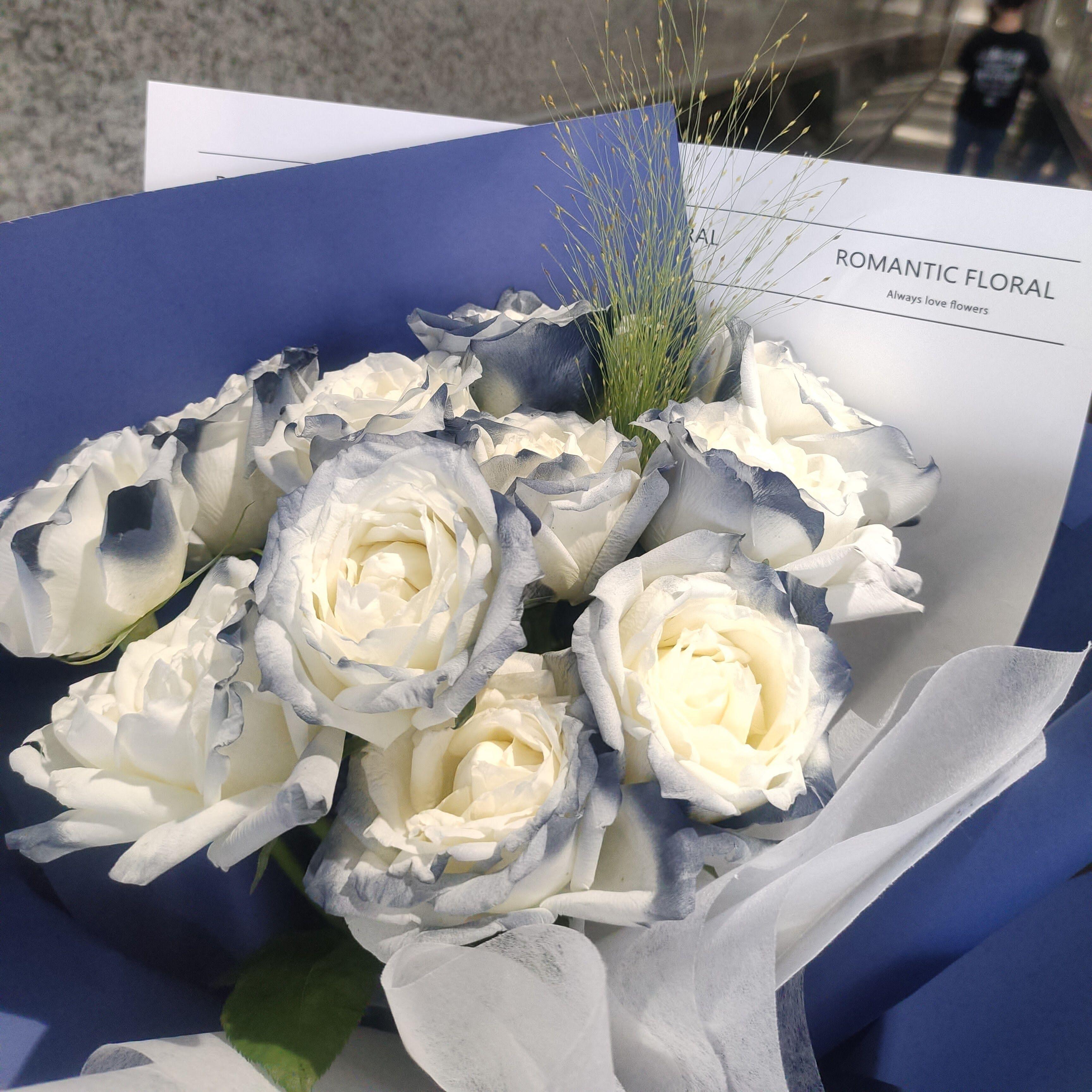 月光总会落在你身上