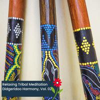 Relaxing Tribal Meditation Didgeridoo Harmony, Vol. 02