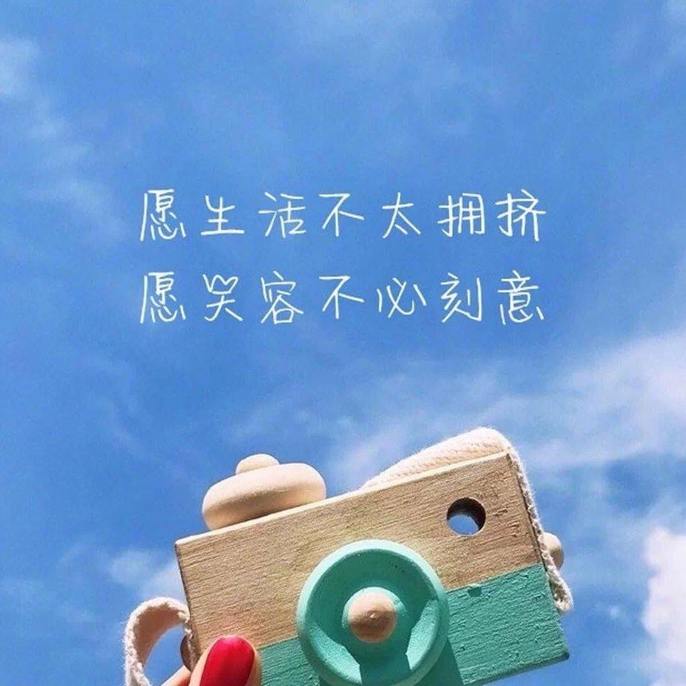 声声慢封面