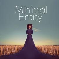 Minimal Entity