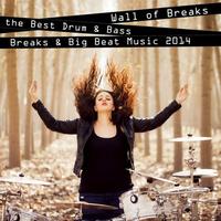 Wall of Breaks - the Best Drum & Bass, Breaks & Big Beat Music 2014