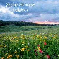 Sleepy Meadow Lullabies