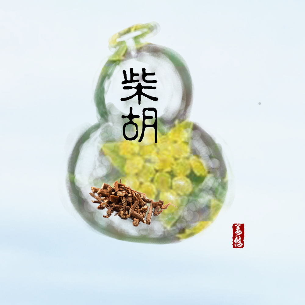 我是一只毛毛虫 - 姜悠封面