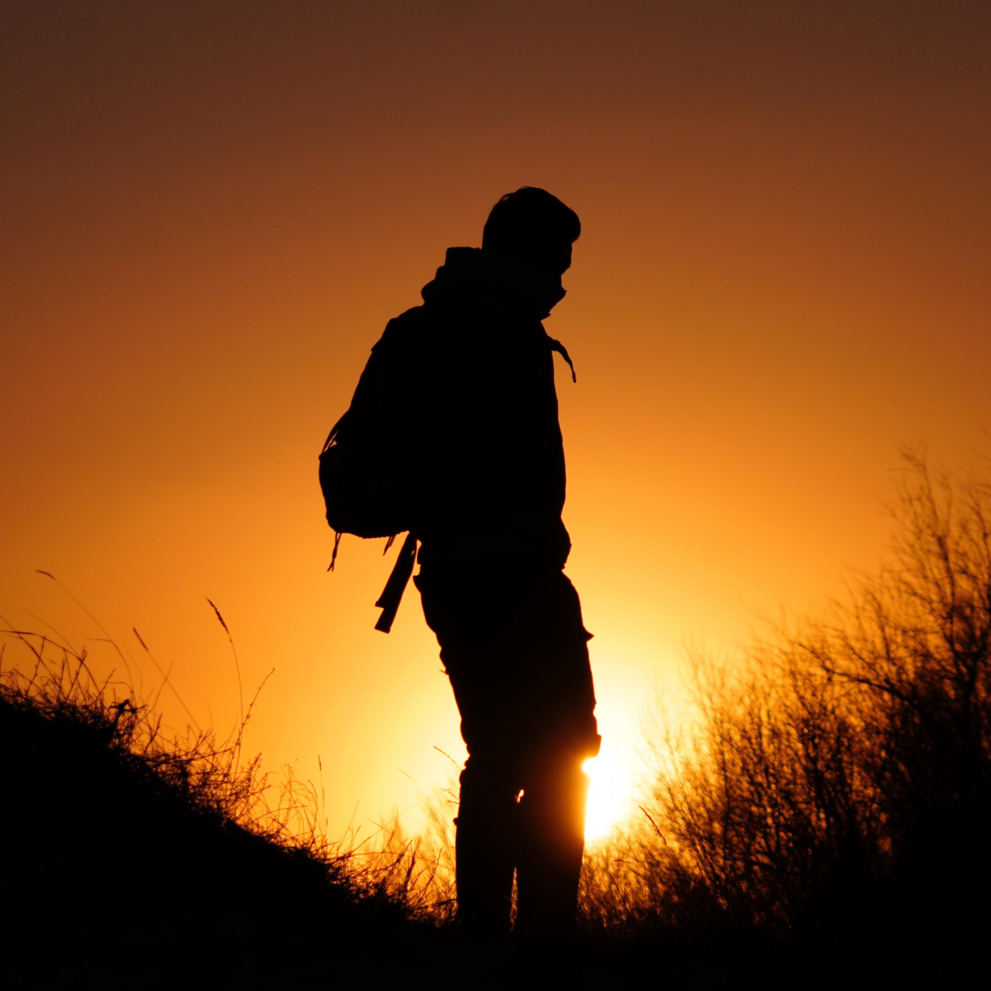 白马赞（翻自 图腾乐队）