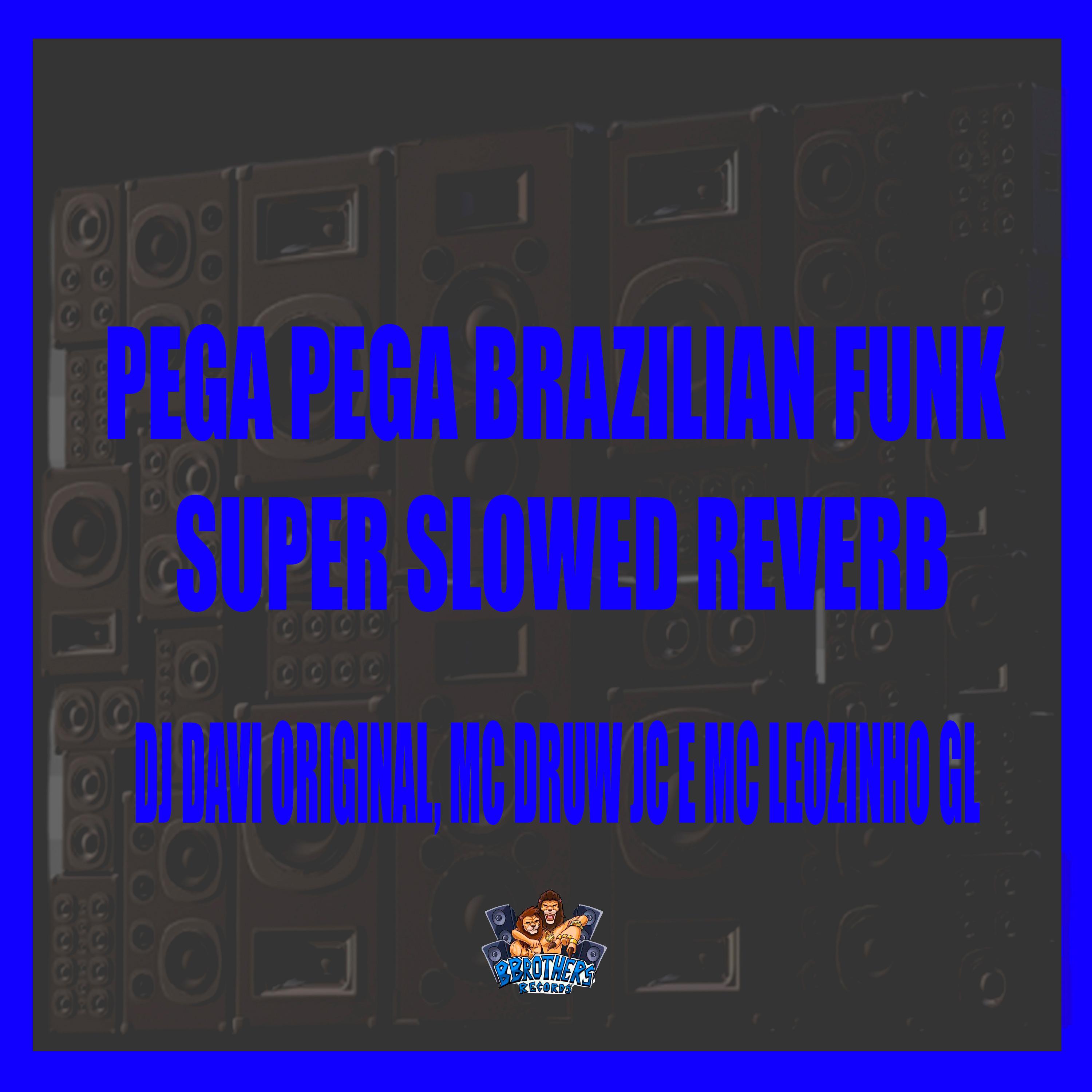 Pega Pega Brazilian Funk Super Slowed Reverb