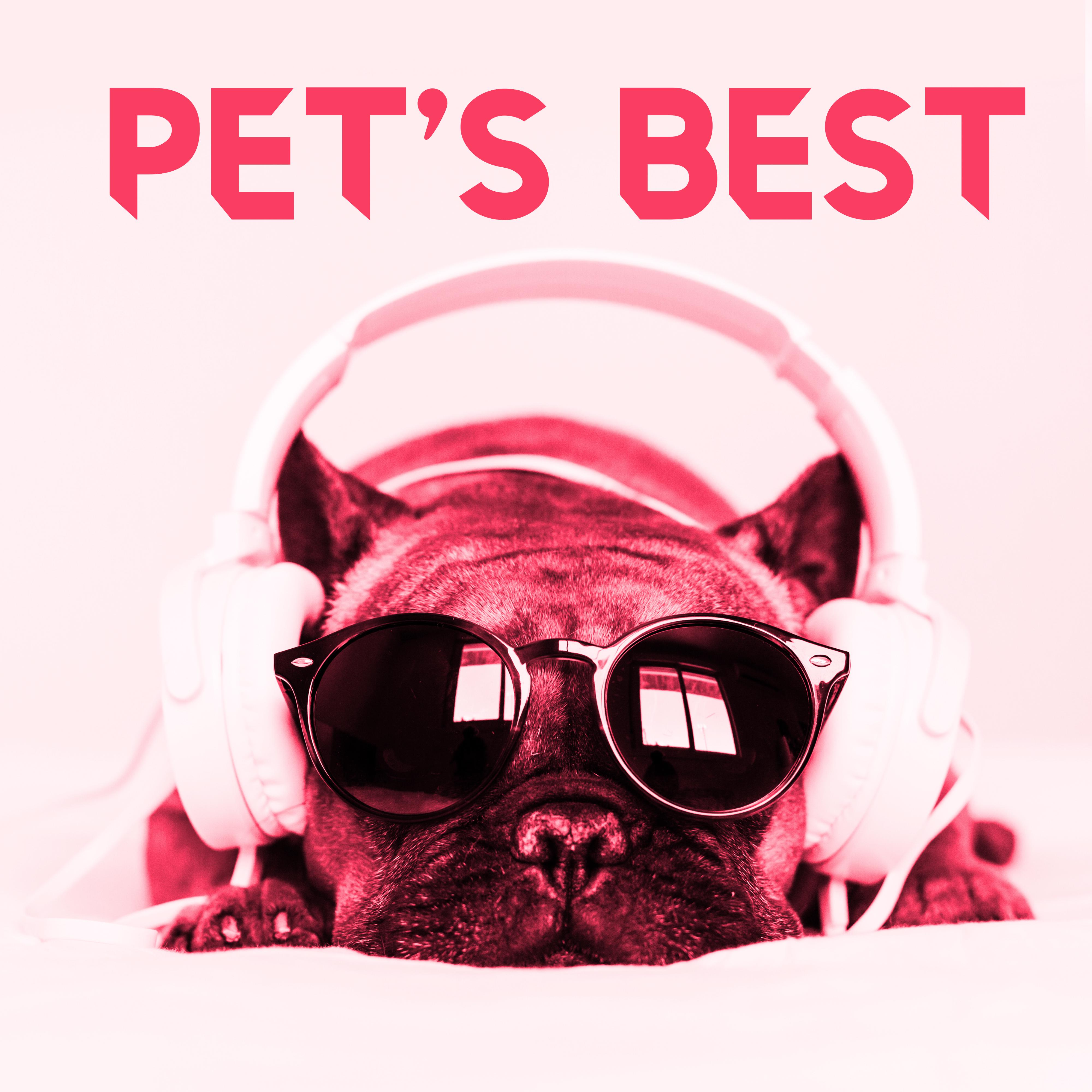 Pet Music