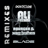 Blade Remixes