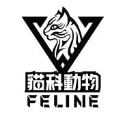 猫科动物FELINE乐队