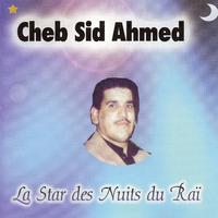 La Star des Nuits du Raï