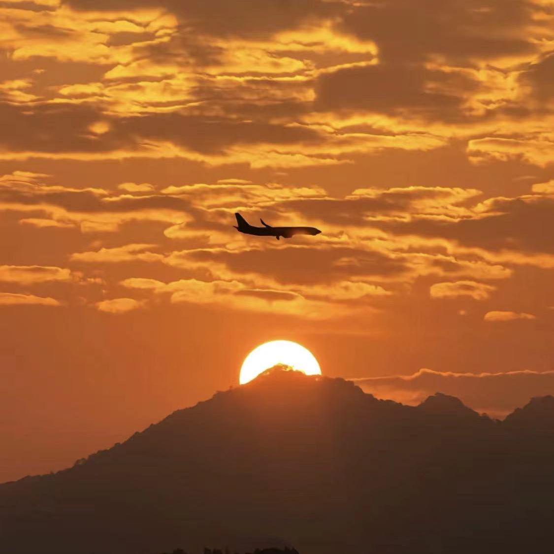 树下少年 (正式版)