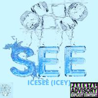 ICESEE (ICEY)