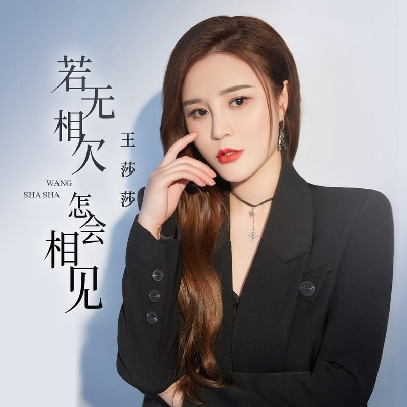 若无相欠怎会相见封面